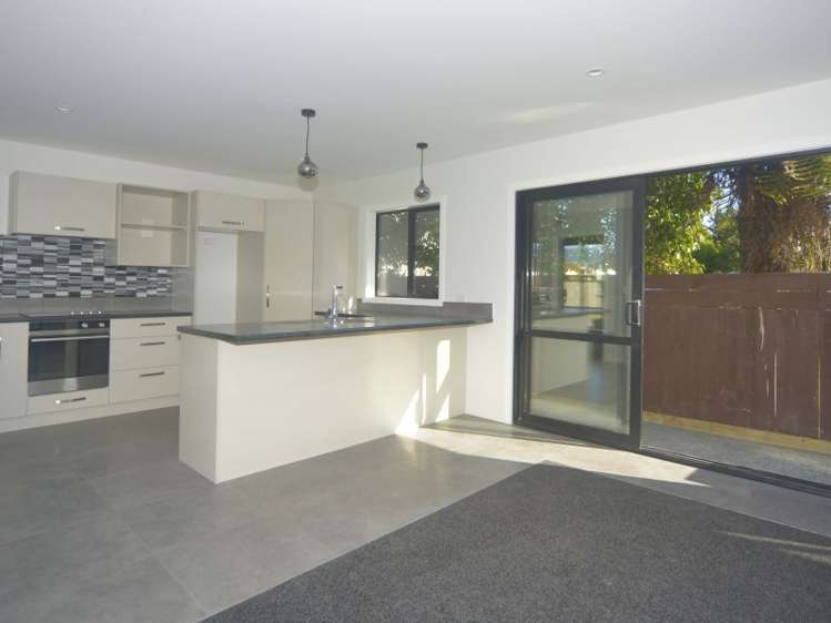 11a Montgomery Street Levin_0