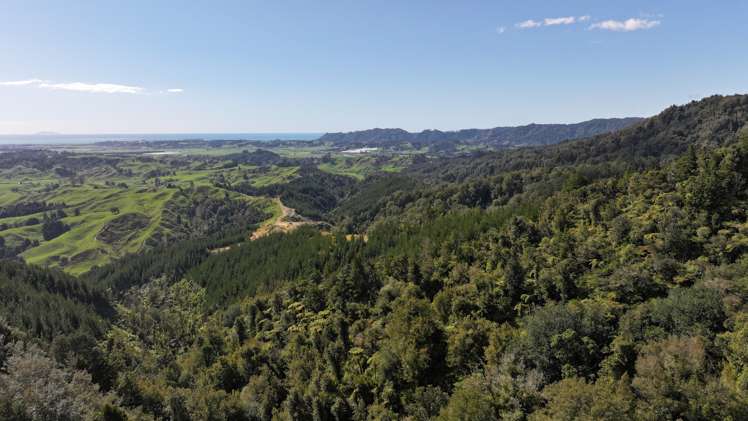 - Waioeka Pa Road Opotiki_21