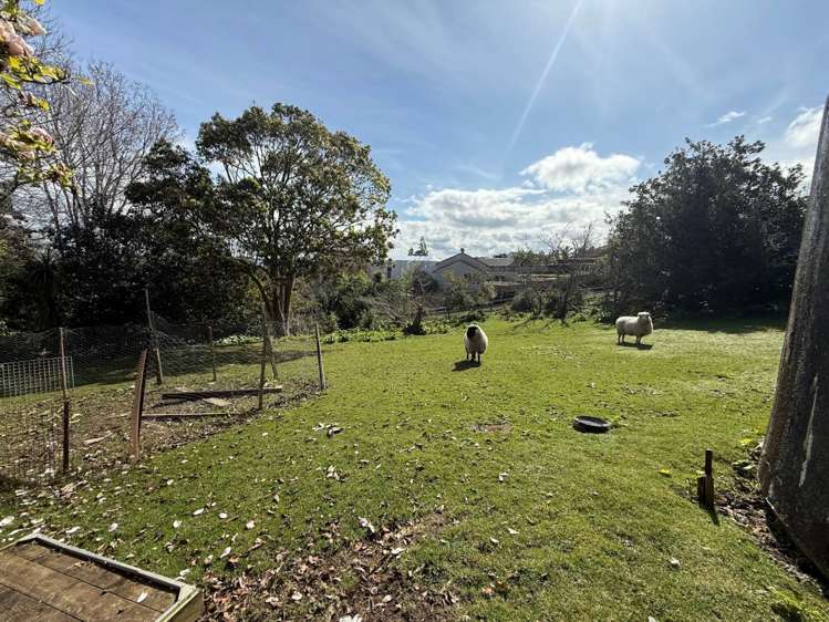 244 Point View Drive East Tamaki Heights_20