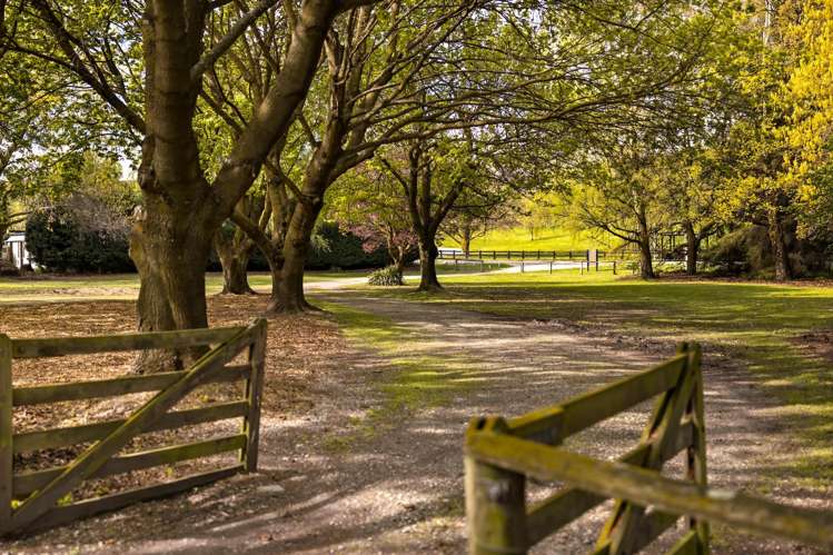 259 Arrowtown-Lake Hayes Road_0