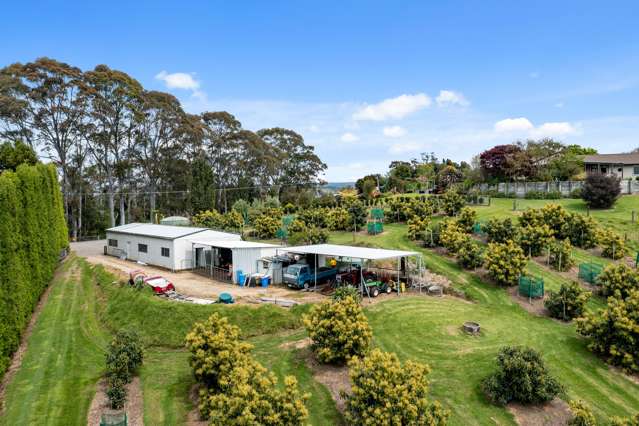 24C Pahoia Road Whakamarama_4