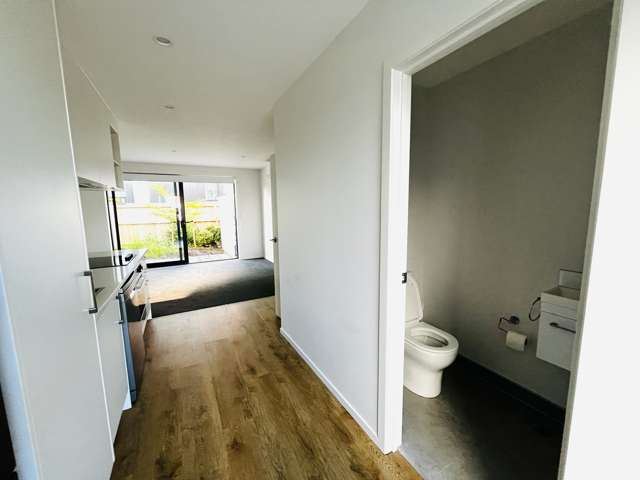 9/3234 Great North Road New Lynn_2