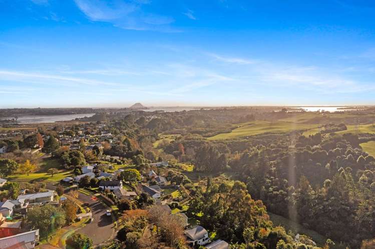 36a Snowden Street Ohauiti_17