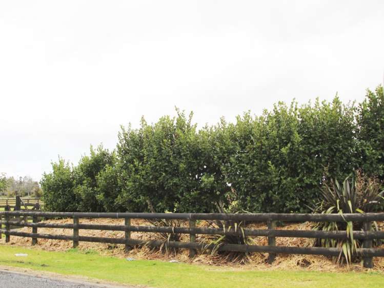 2 Puriri Park Lane Kerikeri Surrounds_16