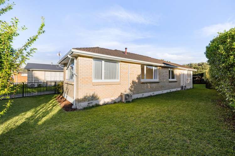 8 Ryan Avenue Chartwell_17