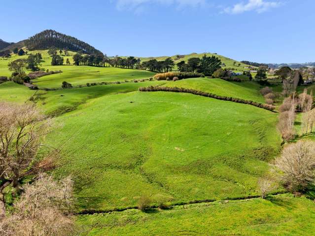 - Samson Road Waihi_4