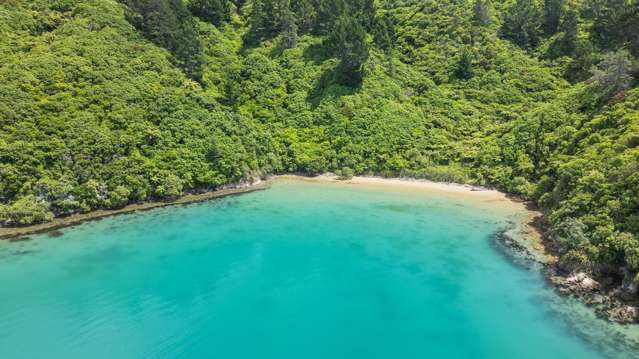 236 Tumbledown Bay Road Port Underwood_2