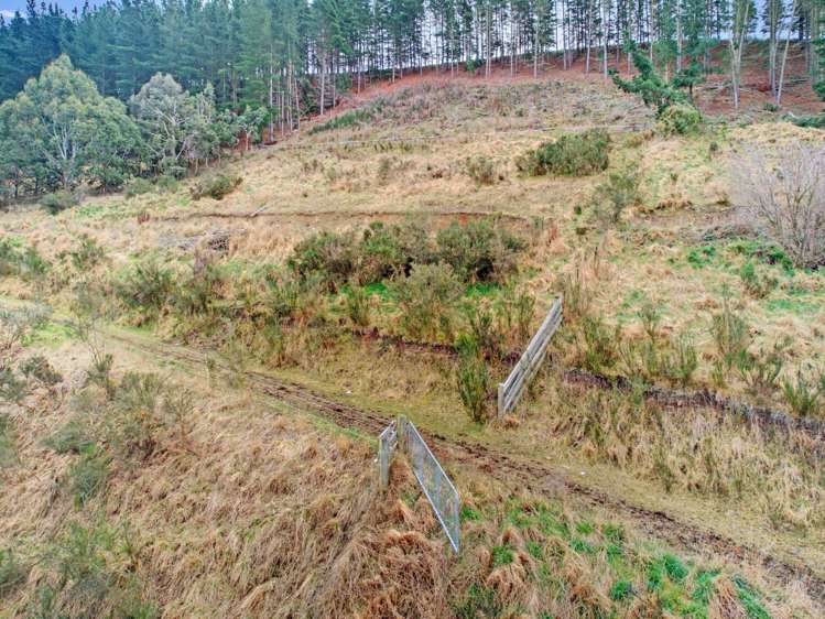 Diggers Gully Road Kurow_16