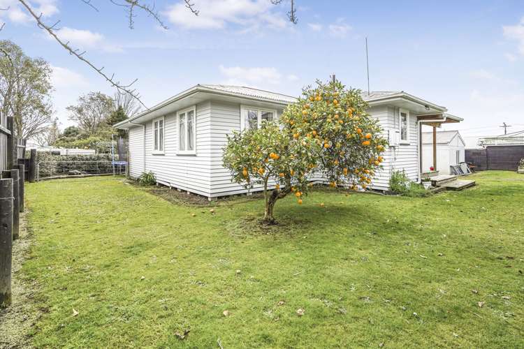 5 Cotter Place Hamilton East_13