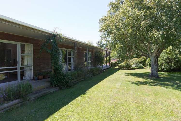 822 Kairanga Bunnythorpe Road Kairanga_7