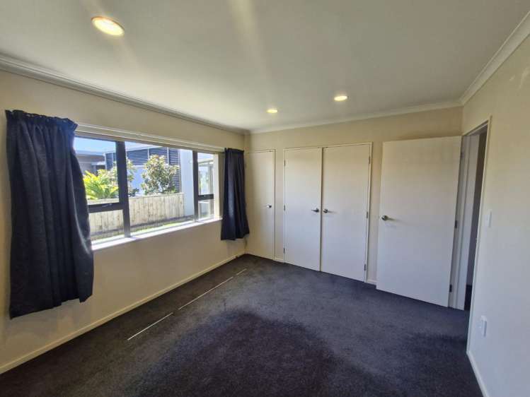 1 Holsworthy Road Vogeltown_7