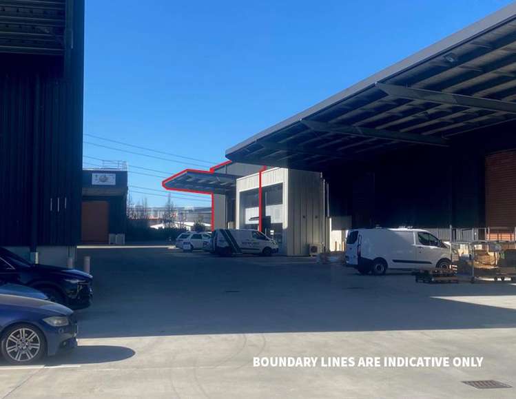 11/8 Islington Avenue Islington_1