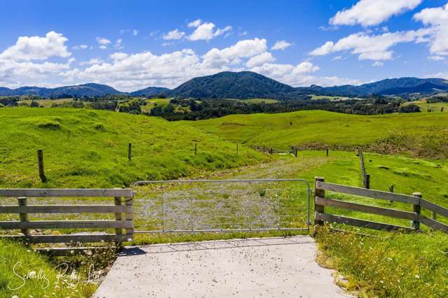 117 Kaiwaka-Mangawhai Road Kaiwaka_3