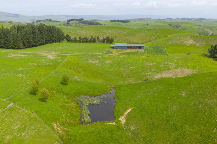 137 Zigzag Road Pohangina Valley_10