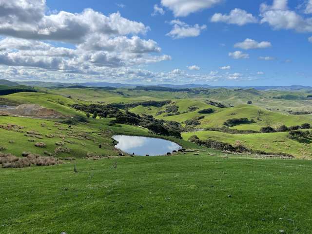 37 Waikakahi Road Pongaroa Pongaroa_4