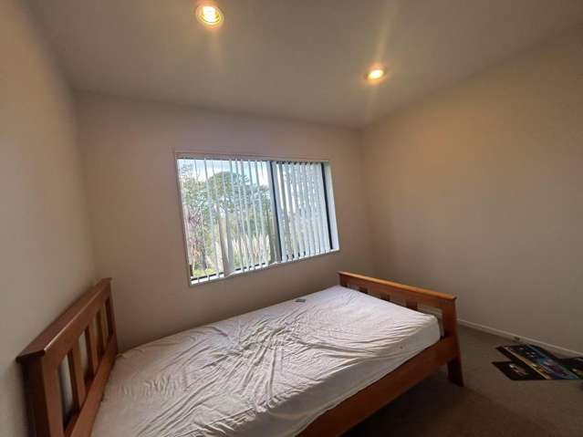 116 Simpson Road Henderson Valley_4