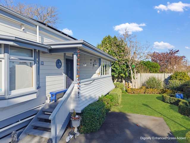 20 McVay Street Napier South_2