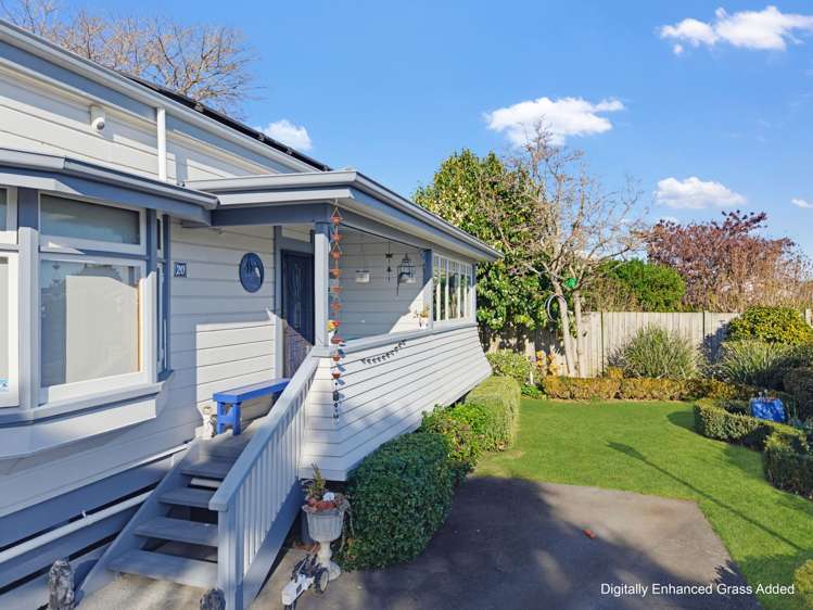 20 McVay Street Napier South_1