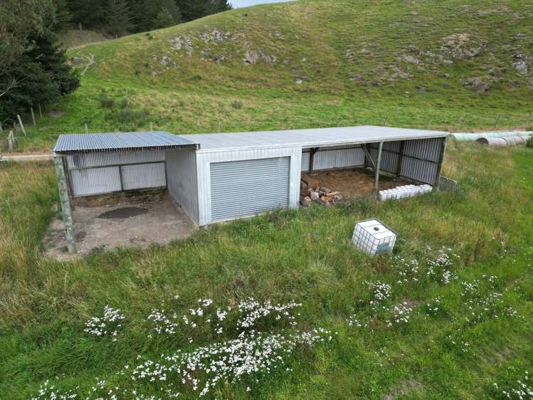 19 Shaw Road Glenpark_5