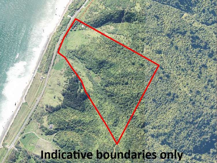 280 Nikau Road, State Highway 67 Nikau_29