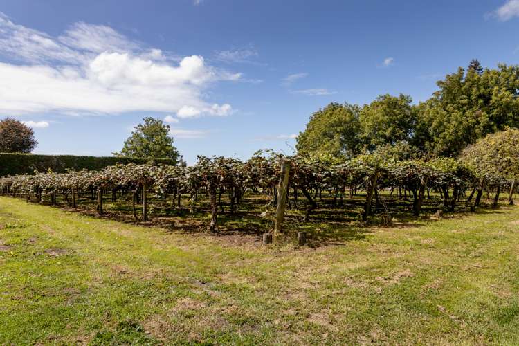 764b Te Matai Road Te Ranga_12