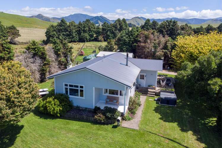 487 France Road Rangitikei Surrounds_2