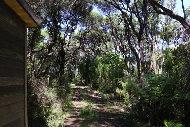 Whaanga Road Raglan_18