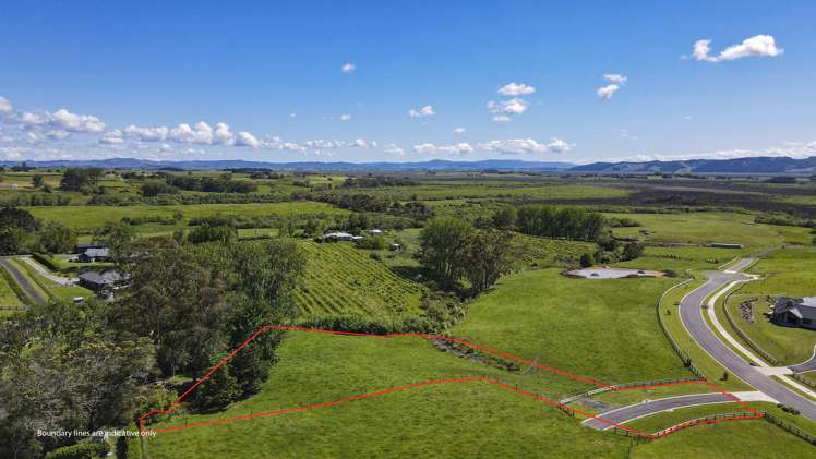 46 Moorfield Road Te Kauwhata_4