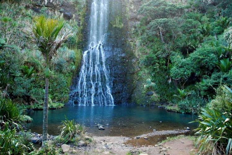 54 Mokoroa Valley Road Waitakere_16