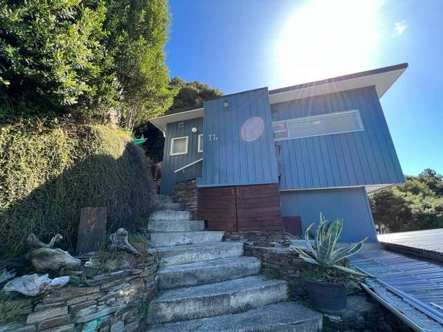 Plimmerton 2 bed with privacy & views