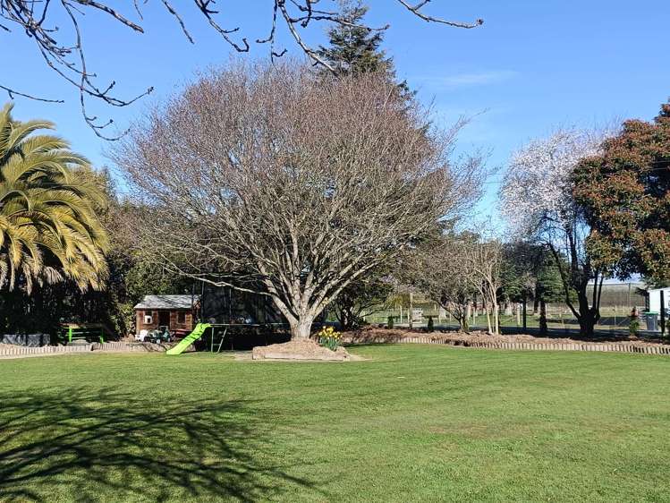 204 Kerrytown Road Kerrytown_7