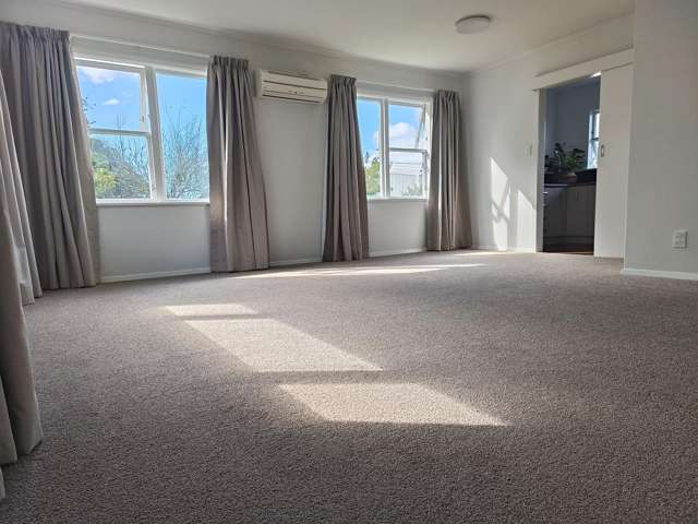 8A Redwood Avenue Tawa_3