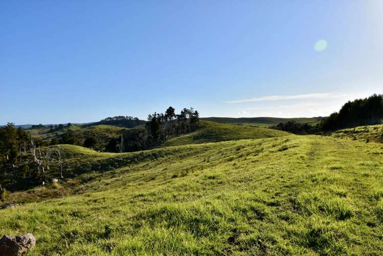 54 Syd Smith Road Oruawharo_9