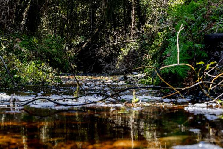 Lots 1 - 6 Sanctuary Place Kumara Junction_3