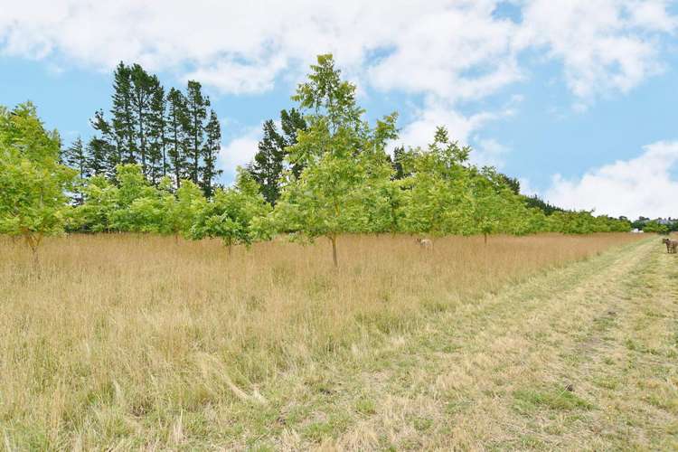 249 Stanton Road Amberley_17