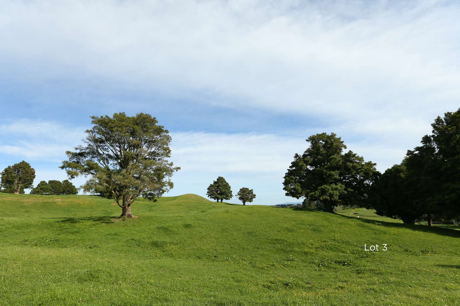 1461 Poihipi Road Oruanui_0