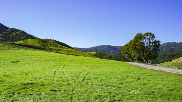 Lot 5, 151 Hill Road Te Aroha_2