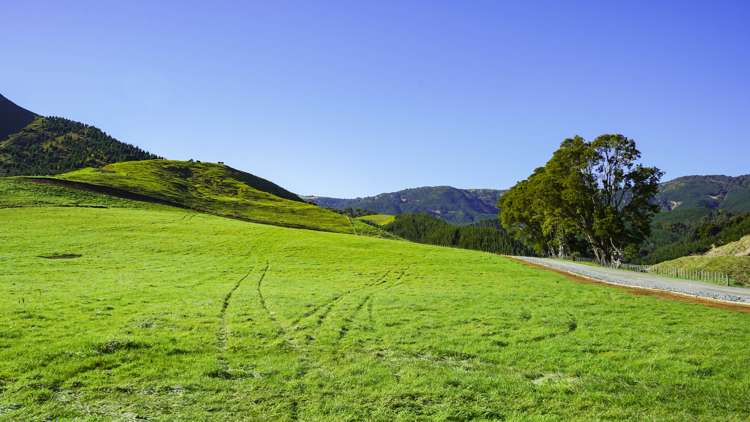 Lot 4, 151 Hill Road Te Aroha_5