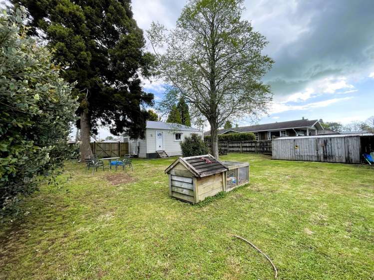 172 Rata Street Inglewood_5