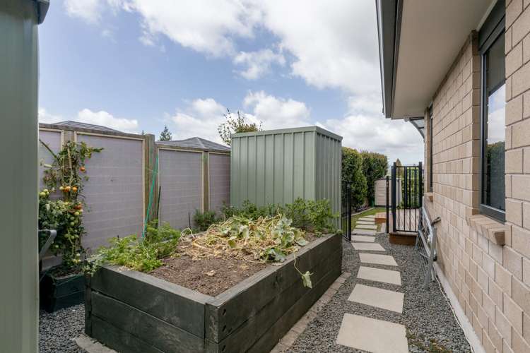 59 Margaret Drive Omokoroa_23