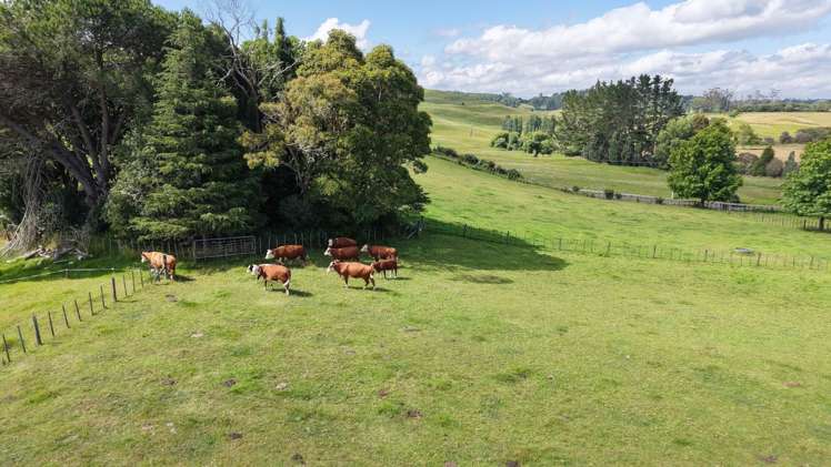 6760 State Highway 1 Pakaraka_19