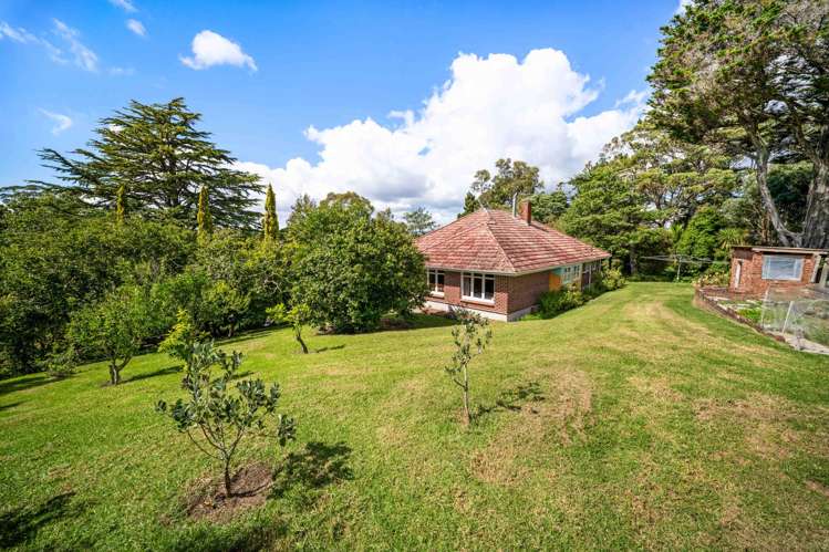 14 Vineyard Road Henderson Valley_29