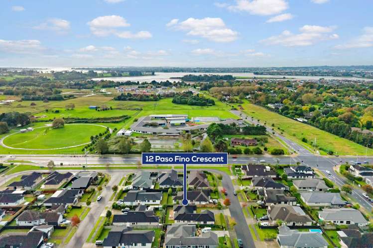 12 Paso Fino Crescent Karaka_18