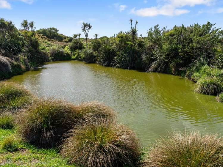 306 Te Hapua Road Te Horo_32