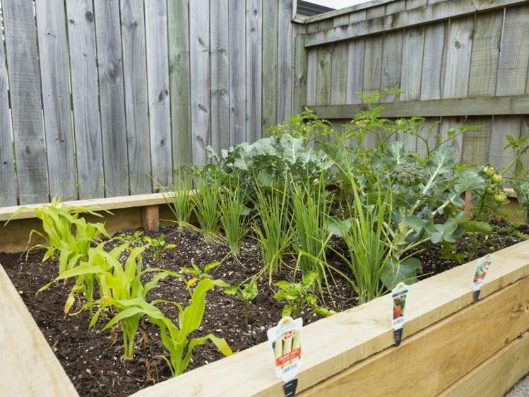 79d Ararino Street Trentham_18