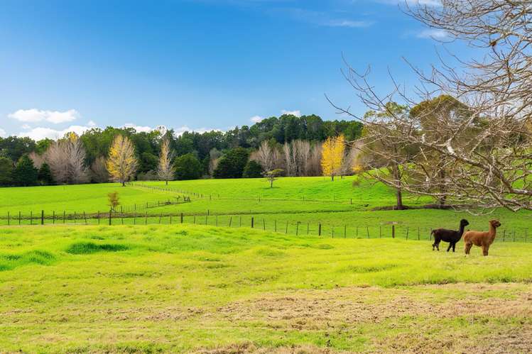 47 Wilson Road Wellsford_16