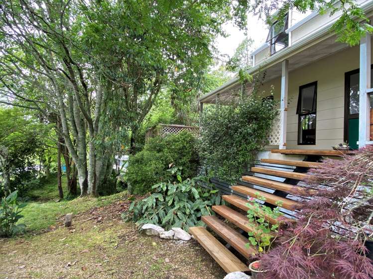 213 Packard Road Kahurangi National Park_5