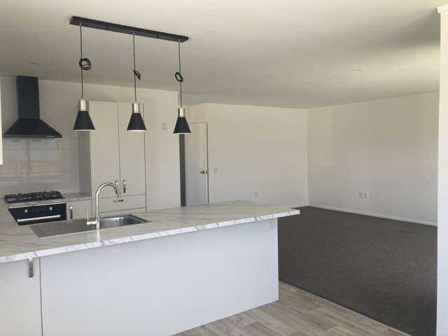 2 Edinburgh Street Tuakau_4