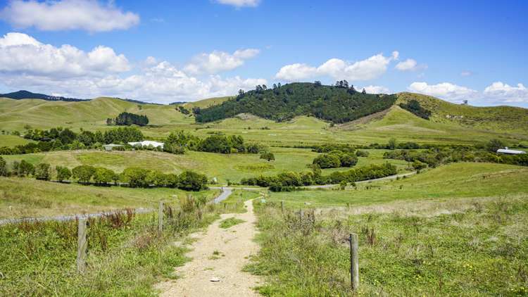 361 Martin Road Waerenga_17