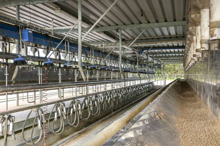 393 State Highway 25 Waitakaruru_7